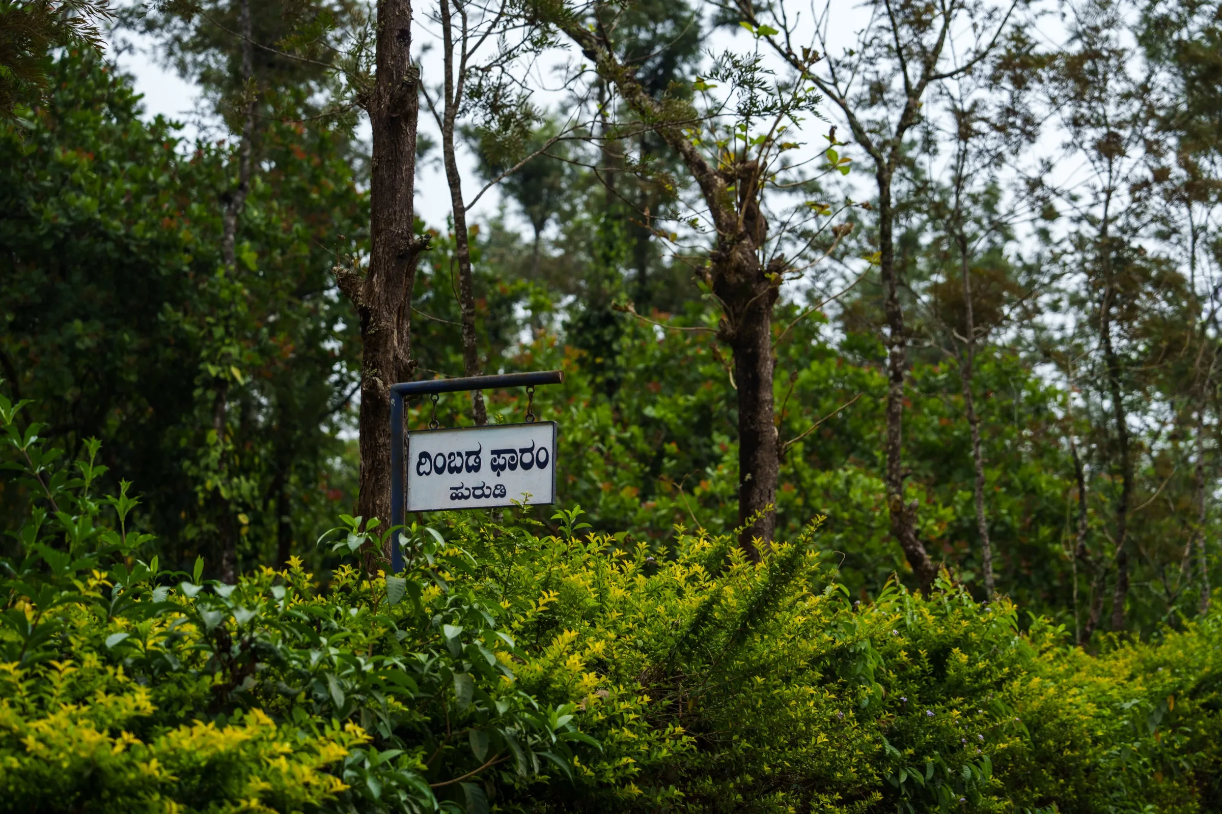 The Dimbada Estate boundary sign, written in Kannada