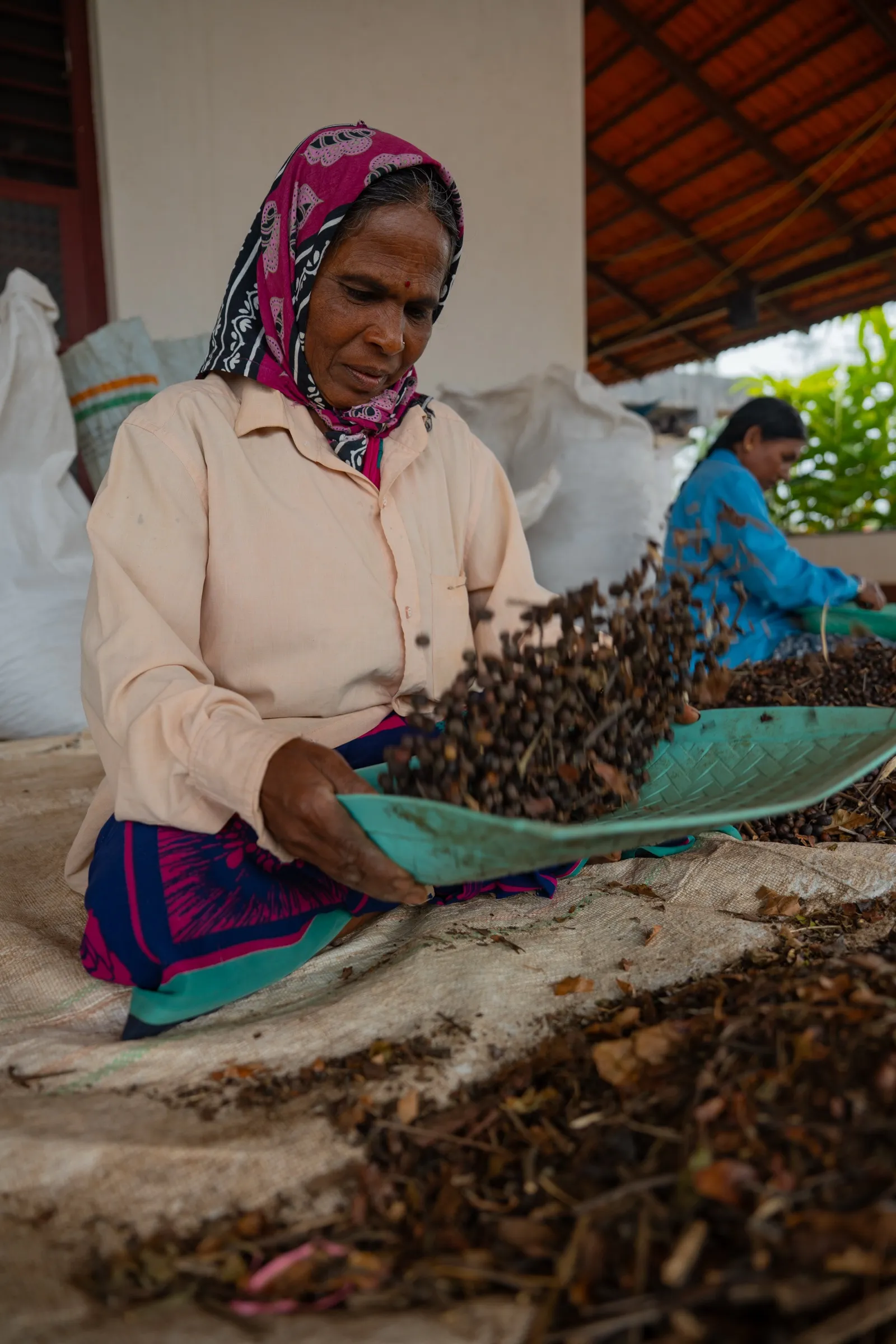 An estate worker winnowing dried coffee